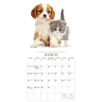 Kittens and Friends 2027 Wall Calendar