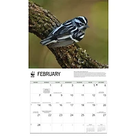 World Wildlife Fund Songbirds 2027 Wall Calendar