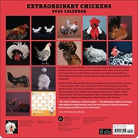 Extraordinary Chickens 2026 Wall Calendar