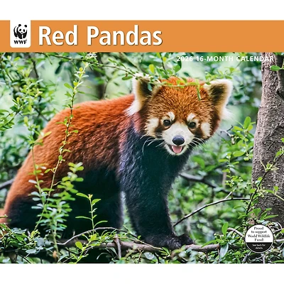 World Wildlife Fund Red Pandas  2026 Wall Calendar