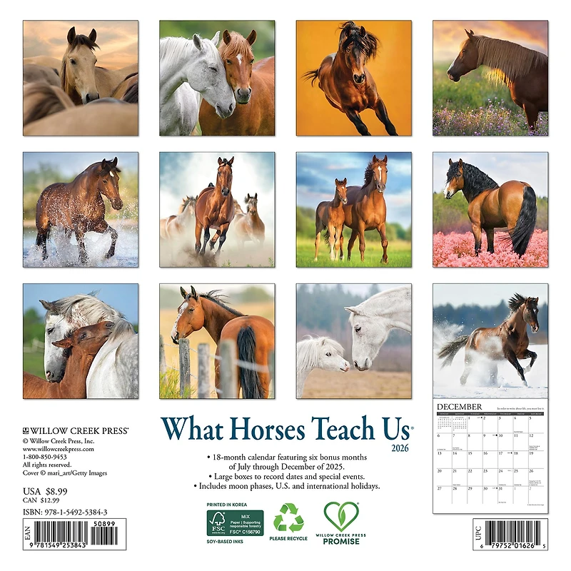 What Horses Teach Us 2026 Mini Calendar