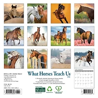 What Horses Teach Us 2026 Mini Calendar
