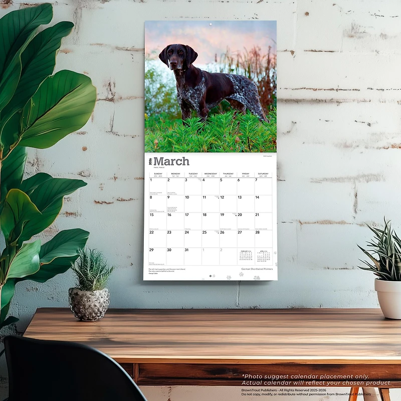 German Shorthaired Pointers 2026 Wall Calendar