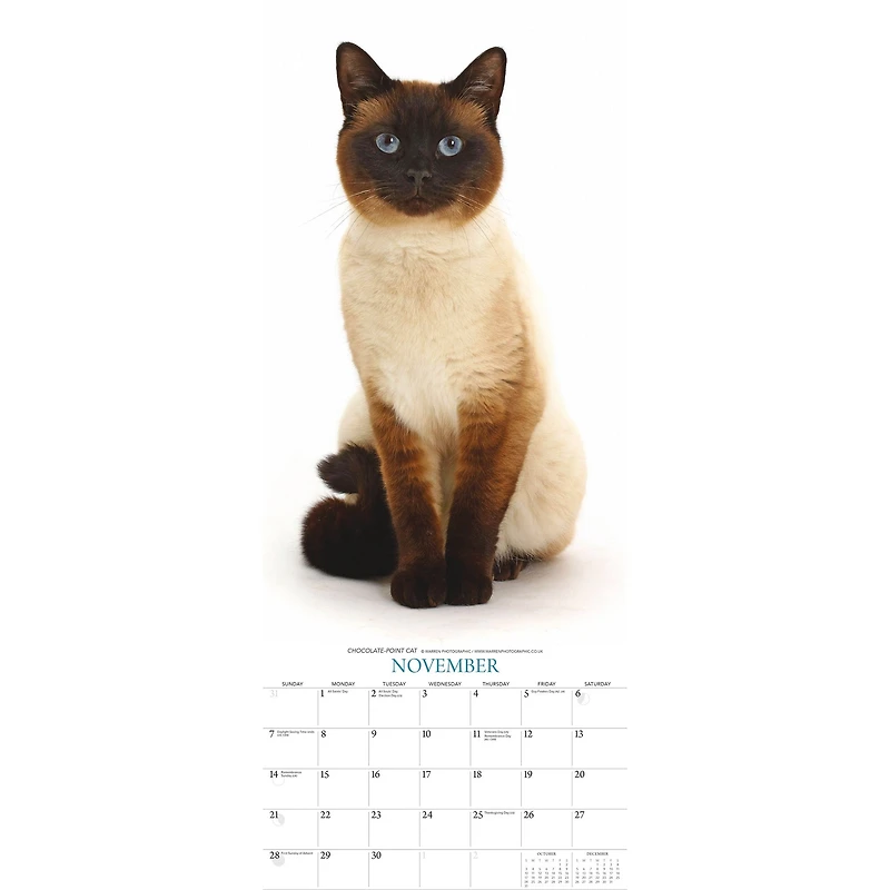 Cats 2027 Poster Calendar