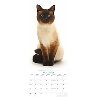 Cats 2027 Poster Calendar