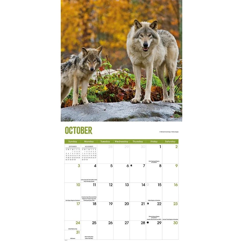 Wolves 2027 Wall Calendar