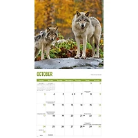 Wolves 2027 Wall Calendar