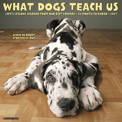What Dogs Teach Us 2027 Wall Calendar