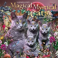Magical Mystical Cats 2026 Wall Calendar