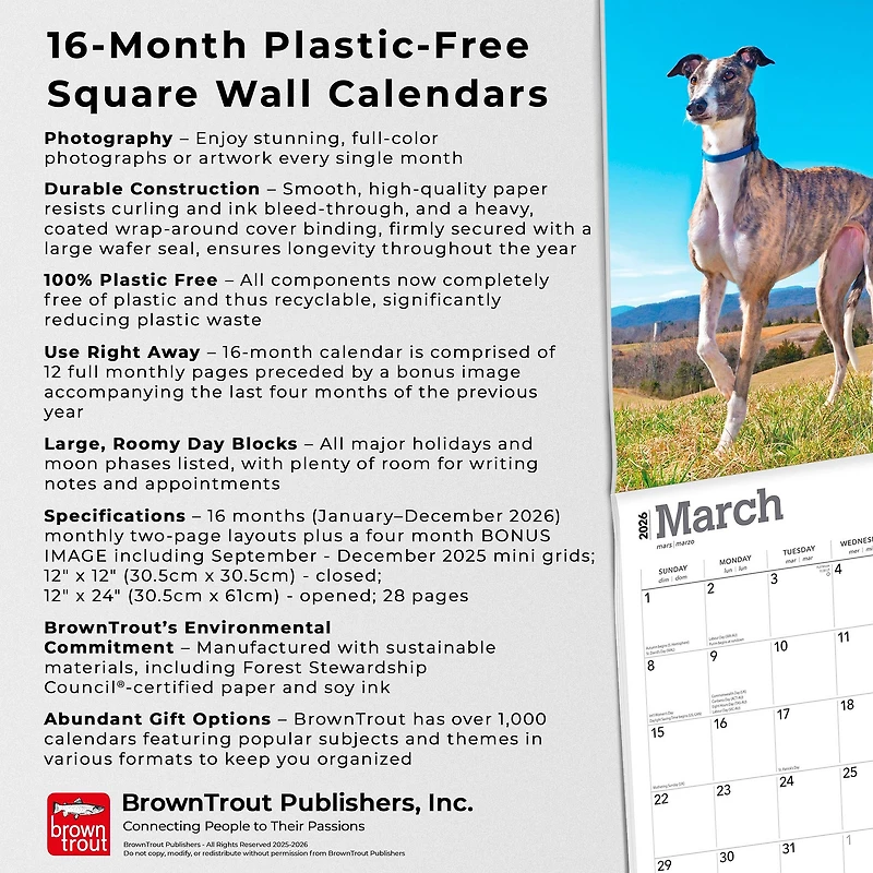 Greyhounds 2026 Wall Calendar