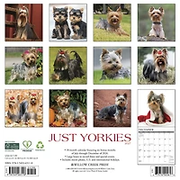 Yorkies 2027 Wall Calendar