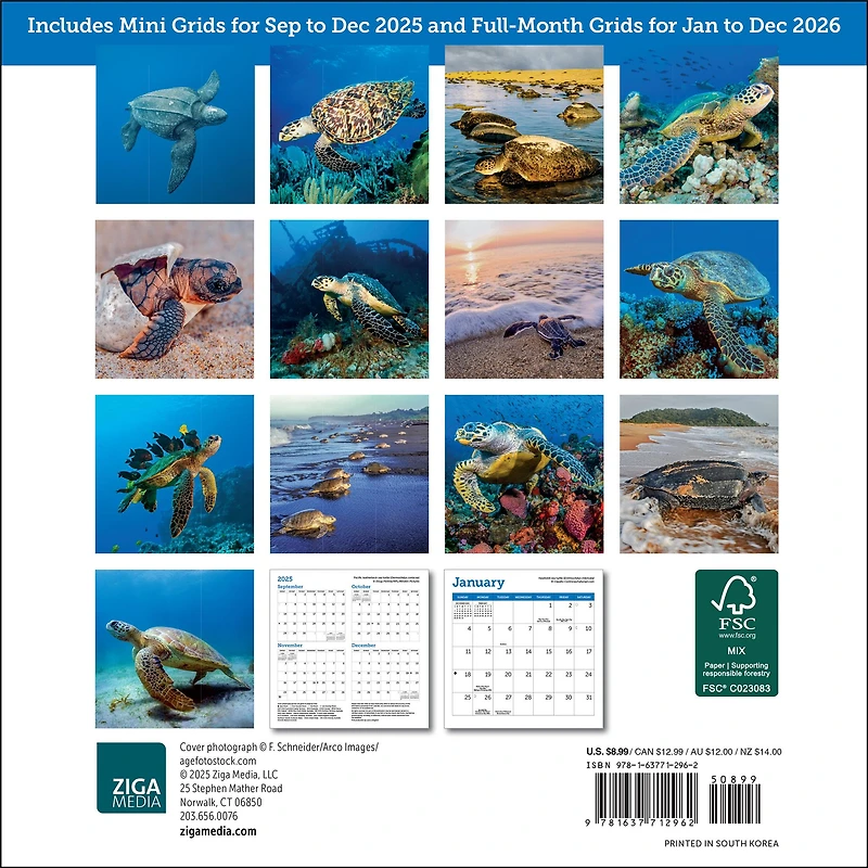 Sea Turtles 2026 MiniCalendar