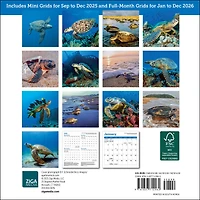 Sea Turtles 2026 MiniCalendar