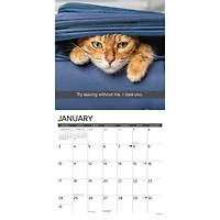 Snapcats 2027 Wall Calendar