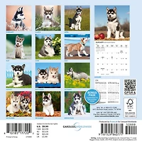 Siberian Husky Puppies 2027 Mini Calendar