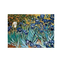 Irises 1000 Piece Puzzle - Online Only