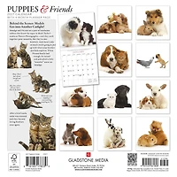 Puppies and Friends 2027 Wall Calendar