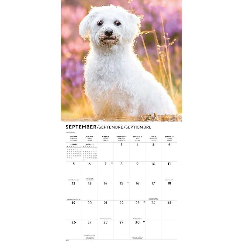 Maltese 2027 Wall Calendar