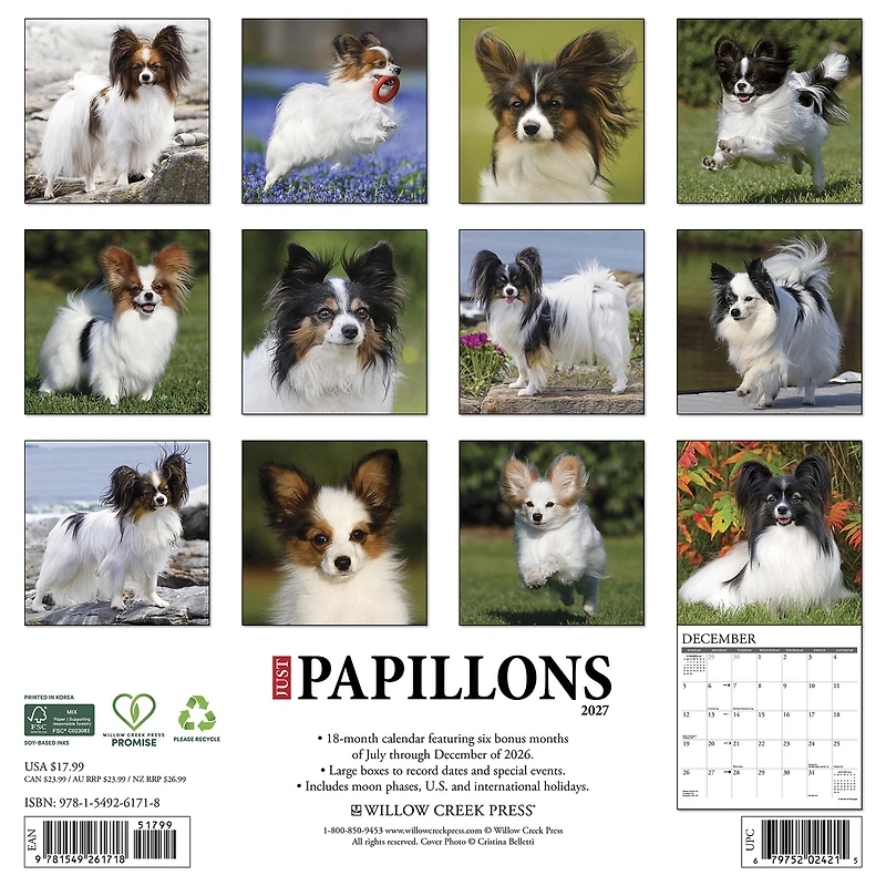 Papillons 2027 Wall Calendar