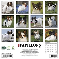 Papillons 2027 Wall Calendar