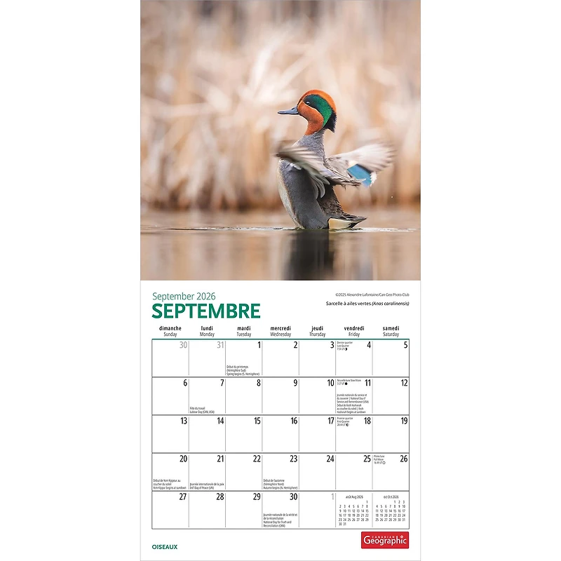 Canadian Geographic Oiseaux 2026 Mini Calendar (French)
