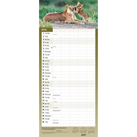 The Busy Family 2027 Wall Calendar