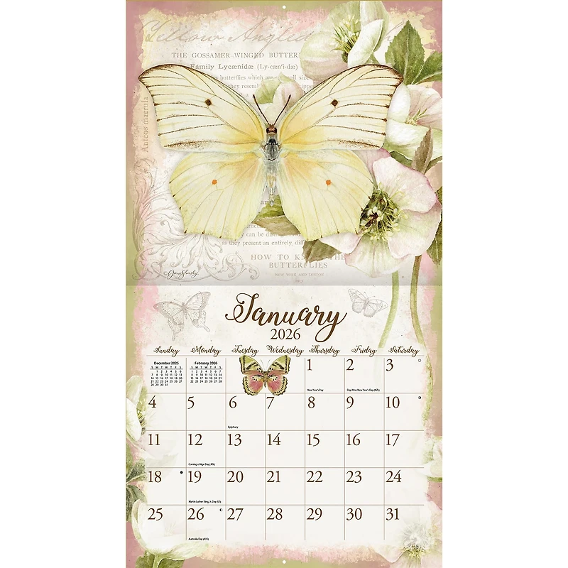 Butterflies 2026 Deluxe Wall Calendar - Online Only