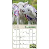 Lambies In Jammies And Goats In Coats 2026 Wall Calendar