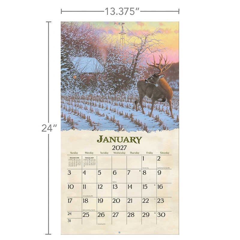 Beyond The Woods 2027 Wall Calendar - Online Only