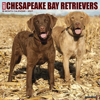 Chesapeake Bay Retrievers 2027 Wall Calendar