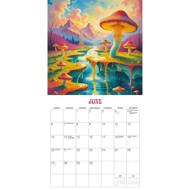 Trippy Shrooms 2027 Wall Calendar
