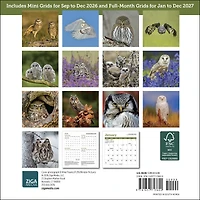 Owls 2027 Mini Calendar