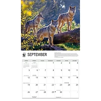 World Wildlife Fund Wolves 2027 Wall Calendar