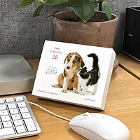 Kittens and Friends 2027 Box Calendar