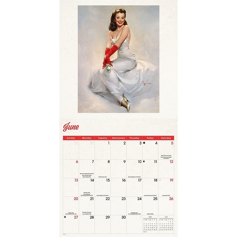 Pin-Up Girls 2027 Wall Calendar