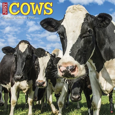 Cows 2027 Wall Calendar
