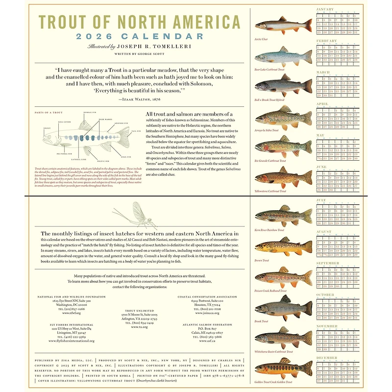 Trout Of North America 2026 Wall Calendar