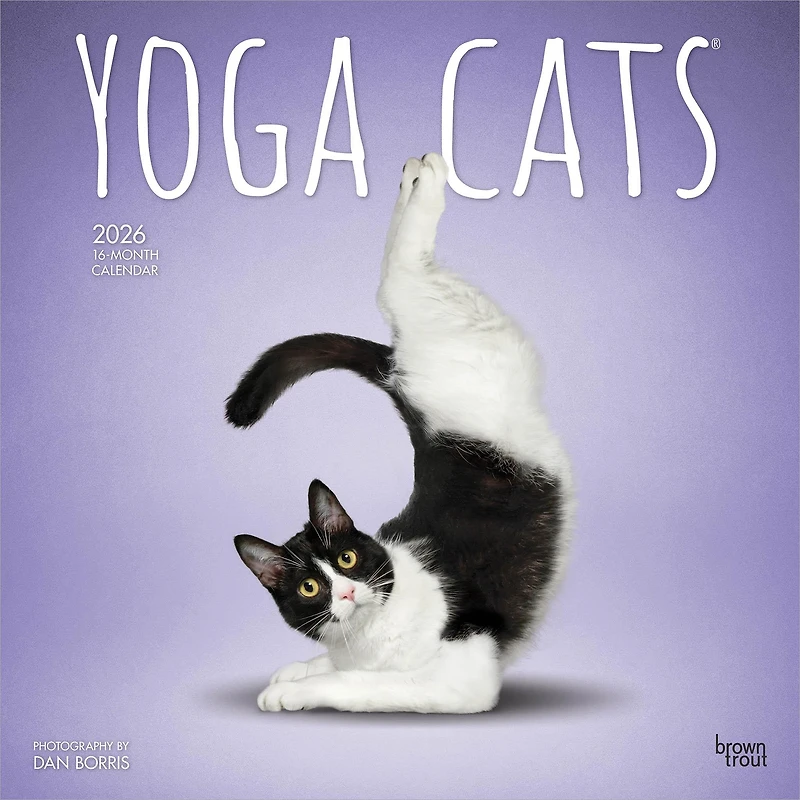 Yoga Cats 2026 Wall Calendar