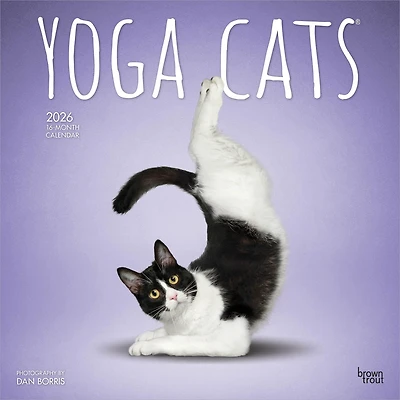 Yoga Cats 2026 Wall Calendar