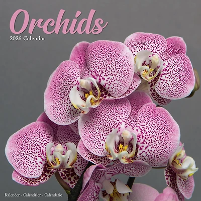 Orchids 2026 Wall Calendar
