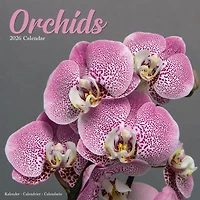 Orchids 2026 Wall Calendar