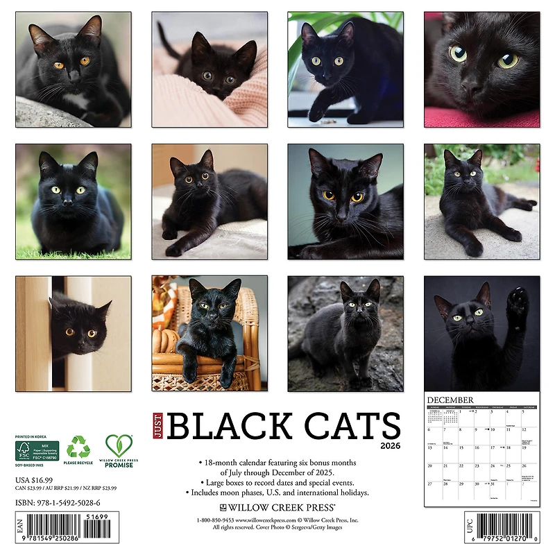 Just Black Cats 2026 Wall Calendar