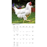 Chickens 2027 Wall Calendar