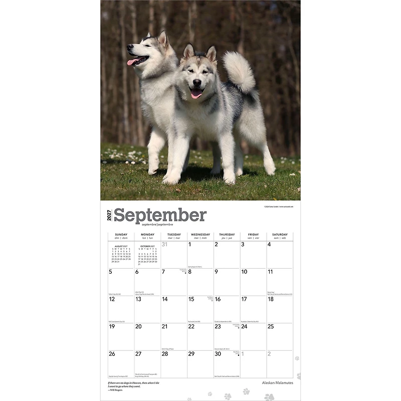 Alaskan Malamutes 2027 Wall Calendar