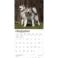 Alaskan Malamutes 2027 Wall Calendar