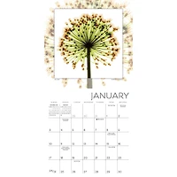 Flower Spirits 2027 Mini Calendar