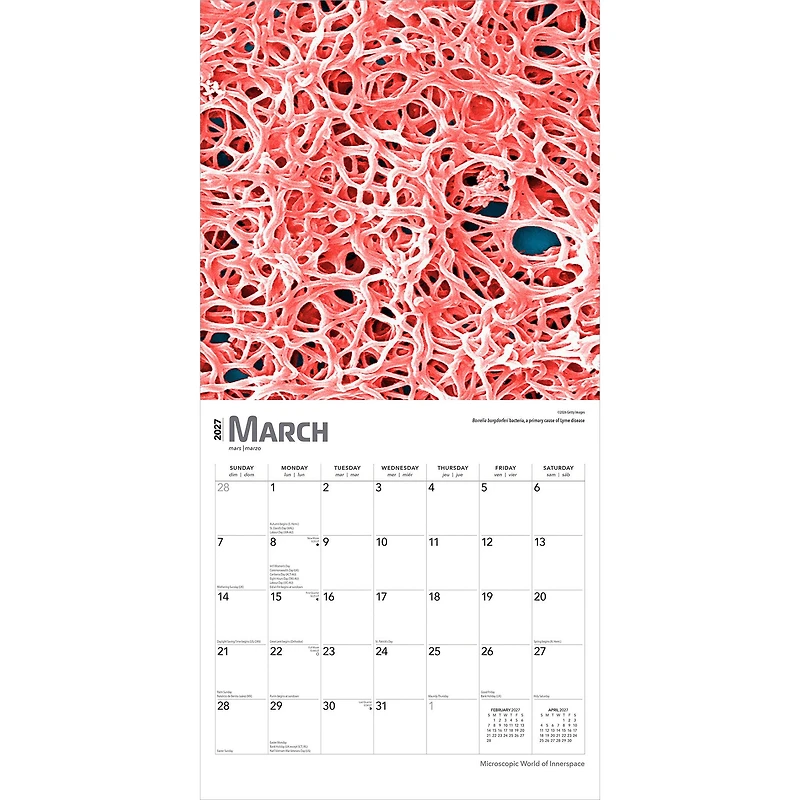 Innerspace 2027 Wall Calendar