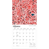 Innerspace 2027 Wall Calendar