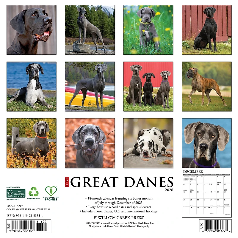 Just Great Danes 2026 Wall Calendar