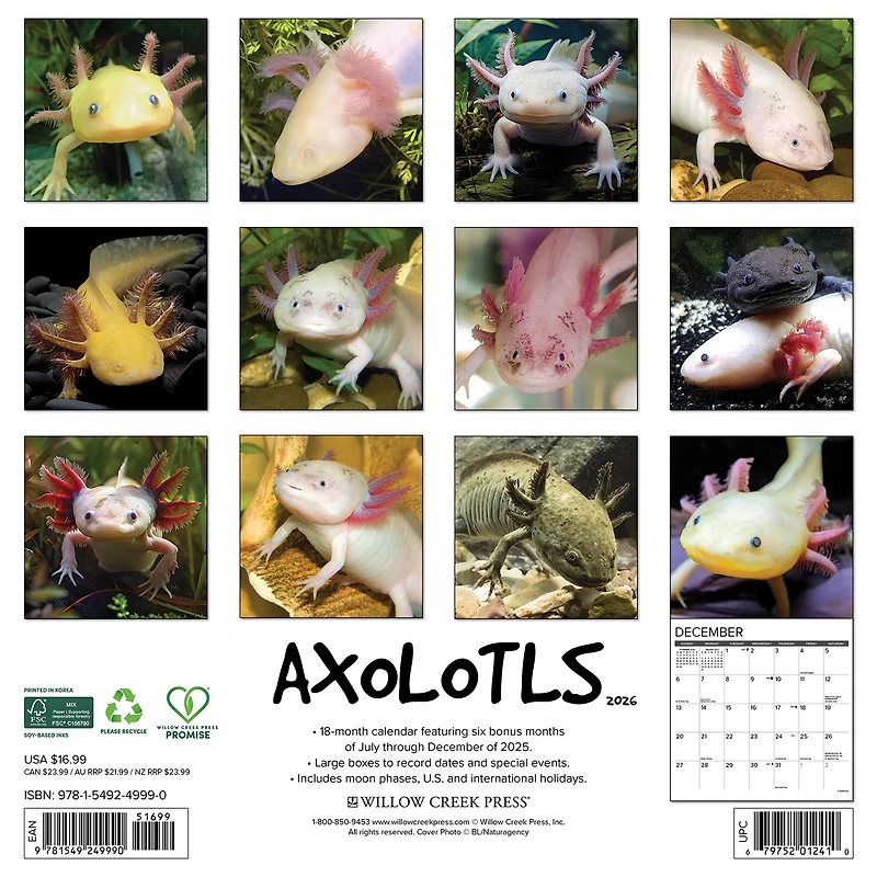 Axolotls 2026 Wall Calendar